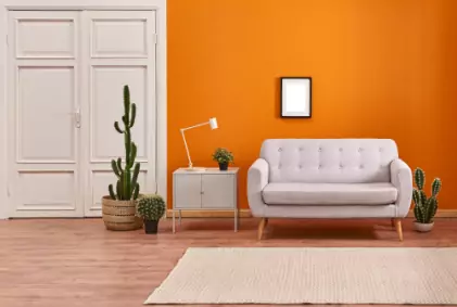 Tendances peinture et rénovation 2025