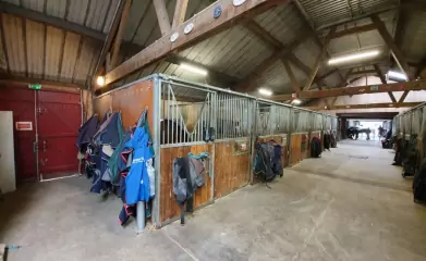 Travaux peinture lasure bois Villeneuve-la-Garenne Travaux de lasure bois biosourcée image 4