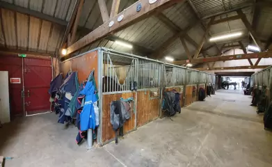 Rénovation du Club Hippique des Chanteraines à Villeneuve-la-Garenne image 4