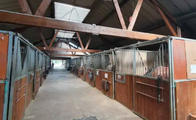 Rénovation du Club Hippique des Chanteraines à Villeneuve-la-Garenne image 5